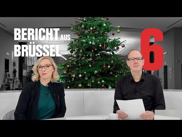 Martin Sonneborn: Bericht aus Brüssel 6 - Fake Fleisch, Völkermord, Austritte bei den Grünen