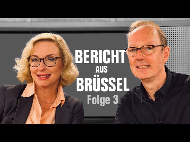 Bericht aus Brüssel 3: Mafia-Deals, kaputte Ponys, Blackout auf der Damentoilette