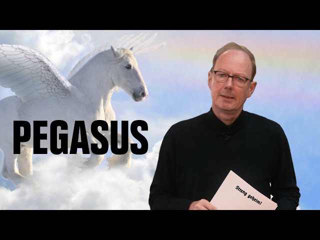 Mehr Spaß mit PEGASUS